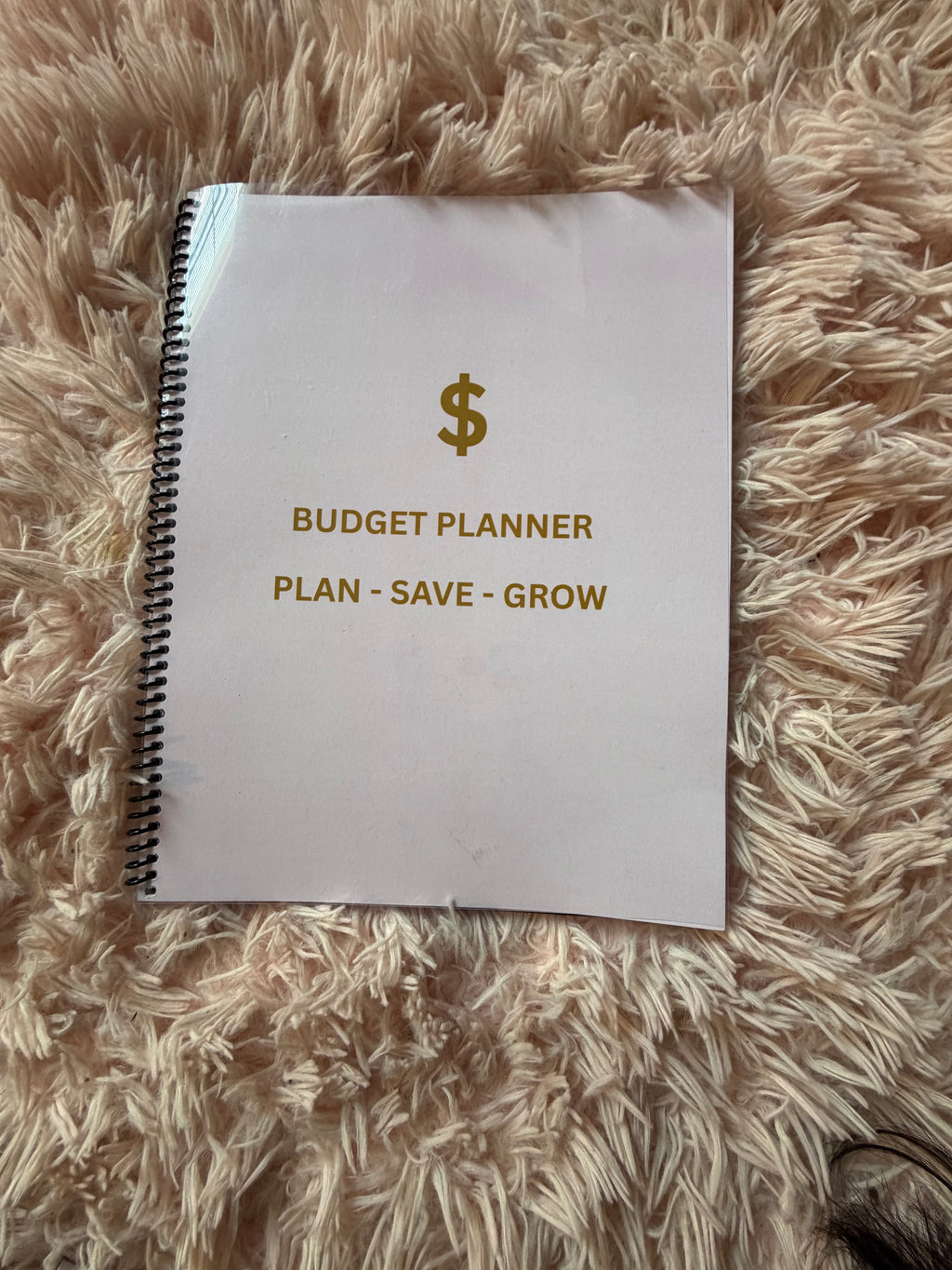Nikki Bag Budget Planner- Plan, Save & Grow
