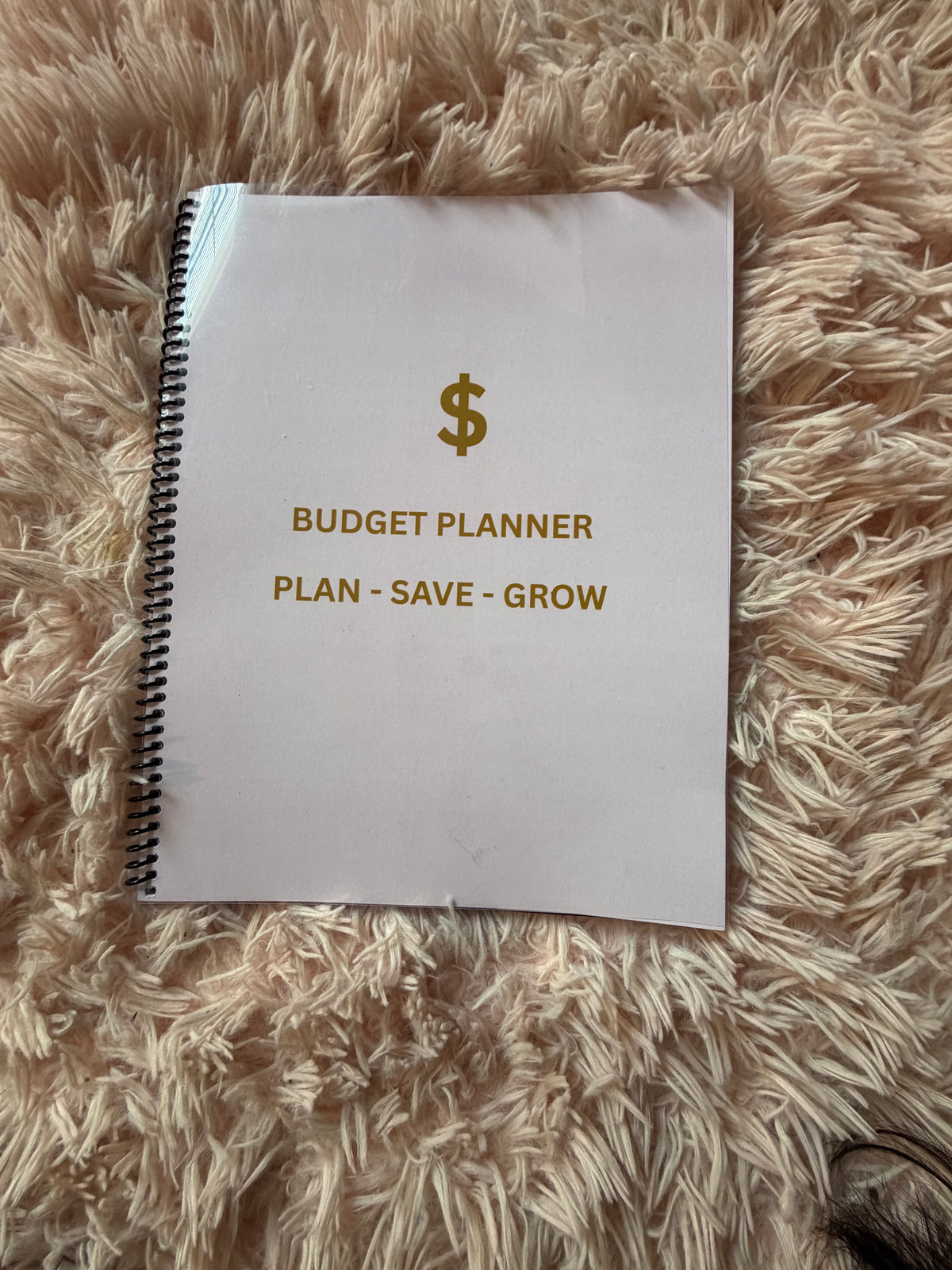 Nikki Bag Budget Planner- Plan, Save & Grow